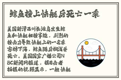 国产网红女主播精品视频